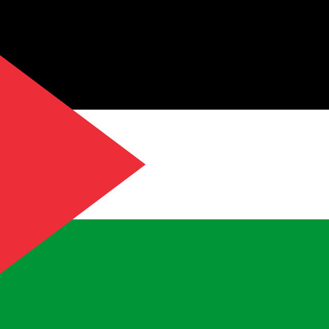 flag of palestine